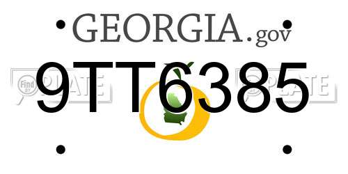 9TT6385 Georgia License Plate