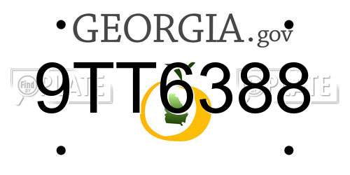 9TT6388 Georgia License Plate