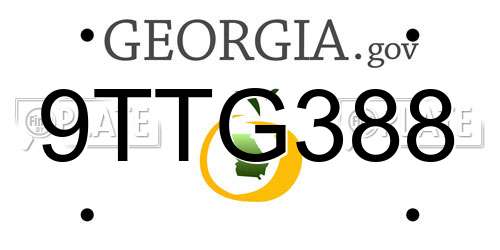 9TTG388 Georgia License Plate