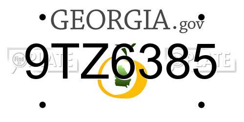 9TZ6385 Georgia License Plate