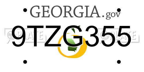 9TZG355 Georgia License Plate