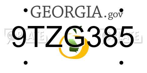 9TZG385 Georgia License Plate
