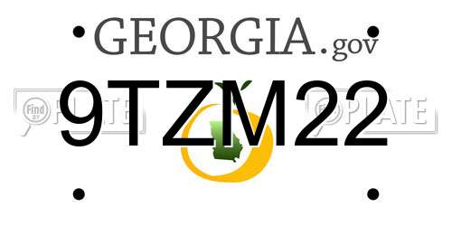 9TZM22 Georgia License Plate