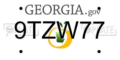 9TZW77 Georgia License Plate
