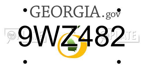 9WZ482 Georgia License Plate