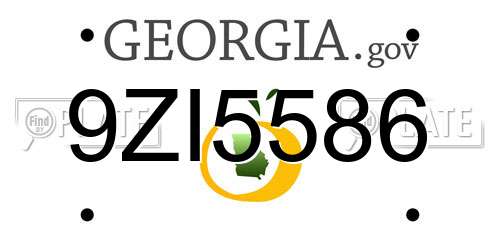 9ZI5586 Georgia License Plate