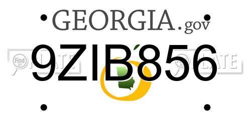 9ZIB856 Georgia License Plate