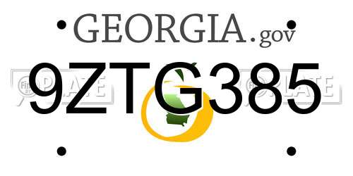 9ZTG385 Georgia License Plate