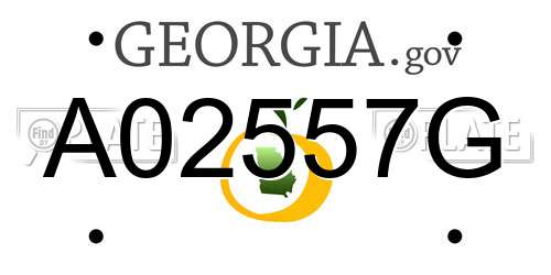 A02557G Georgia License Plate