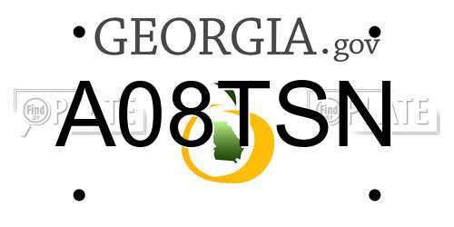 A08TSN Georgia License Plate