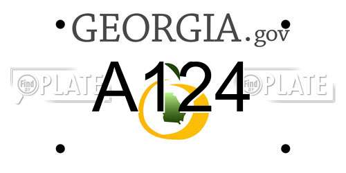 A124 Georgia License Plate