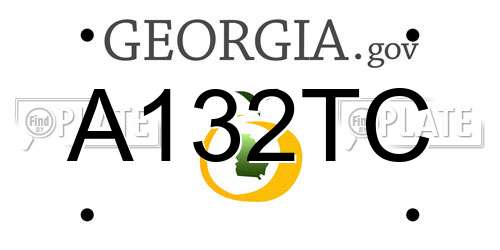A132TC Georgia License Plate