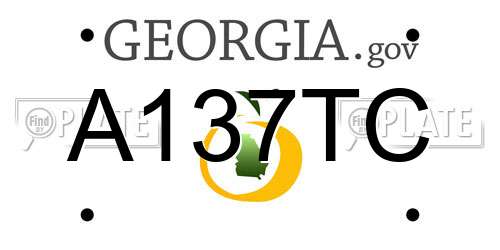 A137TC Georgia License Plate