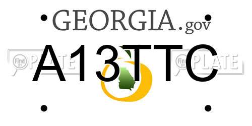 A13TTC Georgia License Plate
