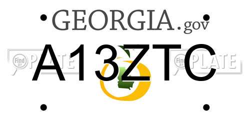 A13ZTC Georgia License Plate