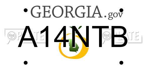 A14NTB Georgia License Plate