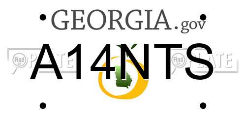 A14NTS Georgia License Plate