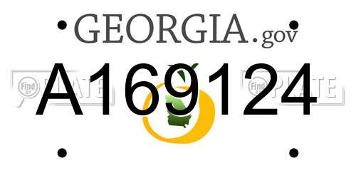 A169124 Georgia License Plate