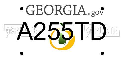 A255TD Georgia License Plate