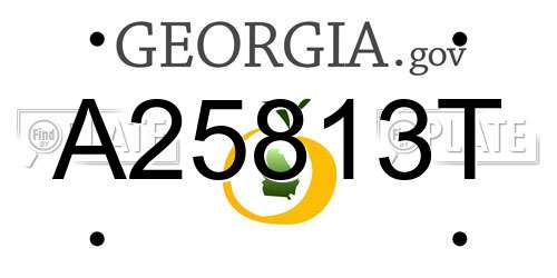 A25813T Georgia License Plate