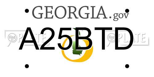 A25BTD Georgia License Plate