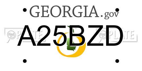A25BZD Georgia License Plate