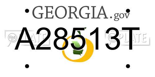 A28513T Georgia License Plate