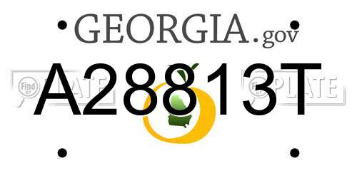 A28813T Georgia License Plate