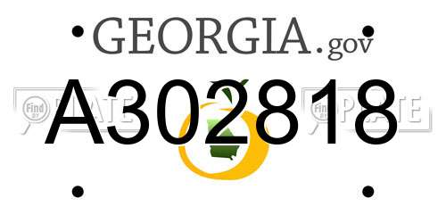 A302818 Georgia License Plate
