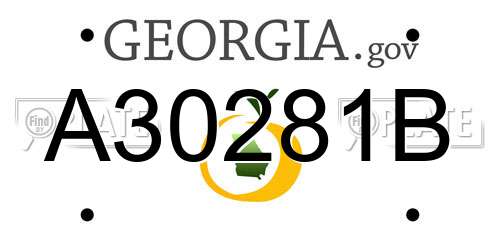 A30281B Georgia License Plate
