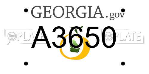 A3650 Georgia License Plate