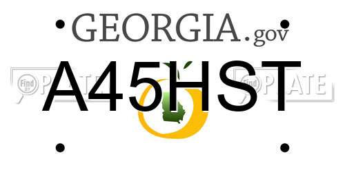 A45HST Georgia License Plate
