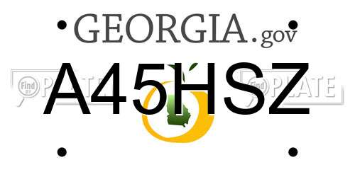 A45HSZ Georgia License Plate