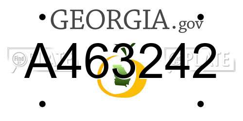 A463242 Georgia License Plate