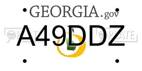 A49DDZ Georgia License Plate