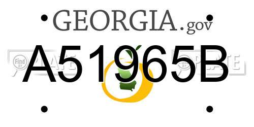 A51965B Georgia License Plate