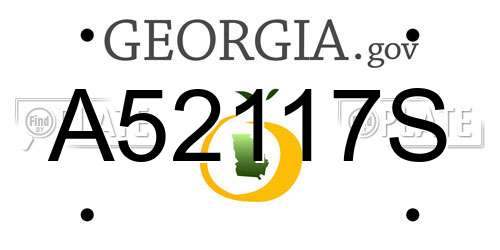 A52117S Georgia License Plate