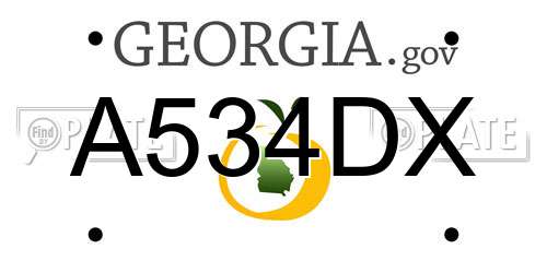 A534DX Georgia License Plate