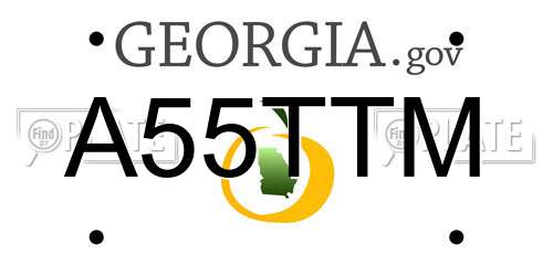 A55TTM Georgia License Plate