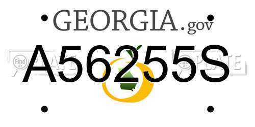 A56255S Georgia License Plate