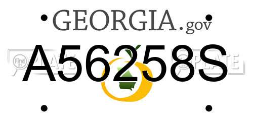 A56258S Georgia License Plate