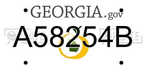 A58254B Georgia License Plate
