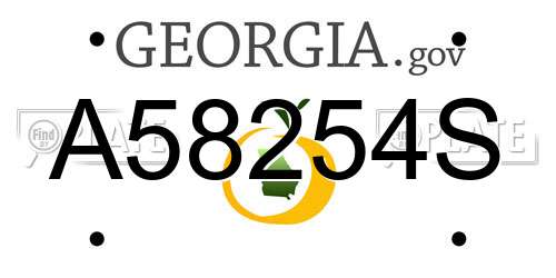 A58254S Georgia License Plate