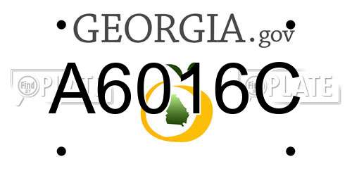 A6016C Georgia License Plate