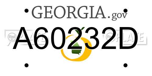 A60232D Georgia License Plate