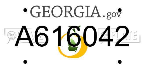 A616042 Georgia License Plate
