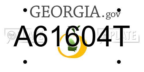 A61604T Georgia License Plate
