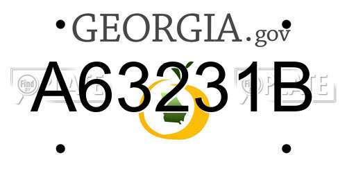 A63231B Georgia License Plate