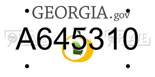 A645310 Georgia License Plate