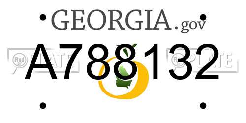 A788132 Georgia License Plate